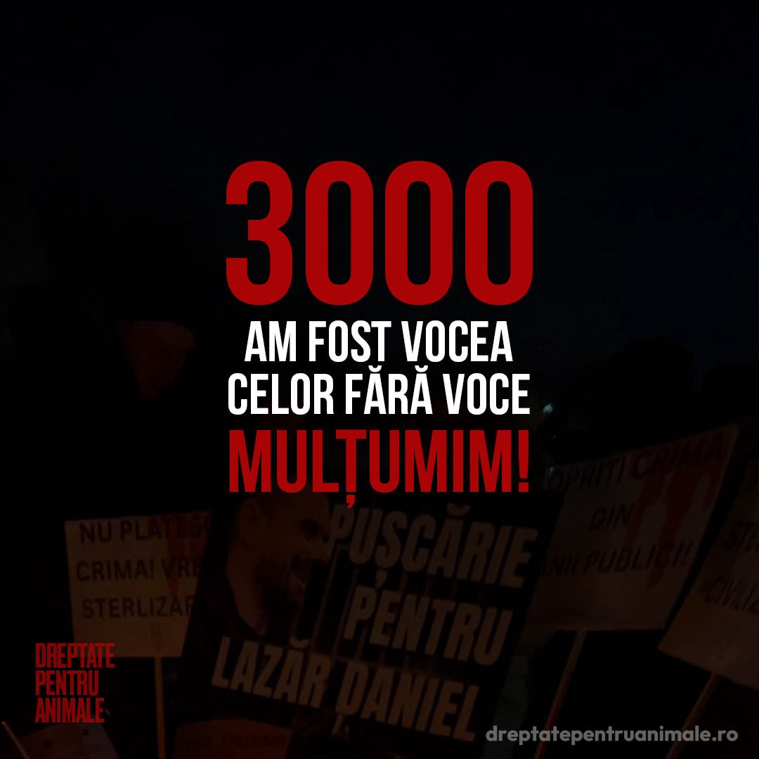 Asociatia Dreptate Pentru Animale