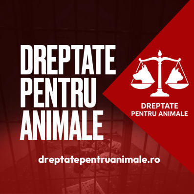Dreptate Pentru Animale